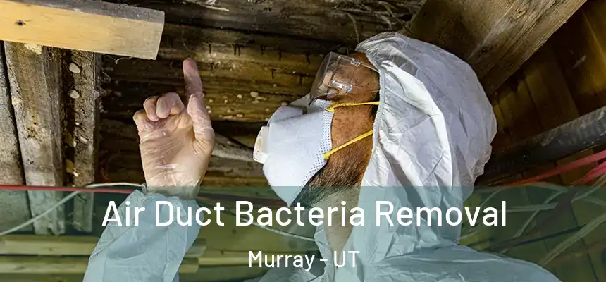  Air Duct Bacteria Removal Murray - UT
