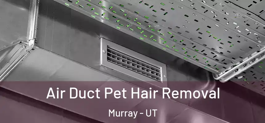  Air Duct Pet Hair Removal Murray - UT