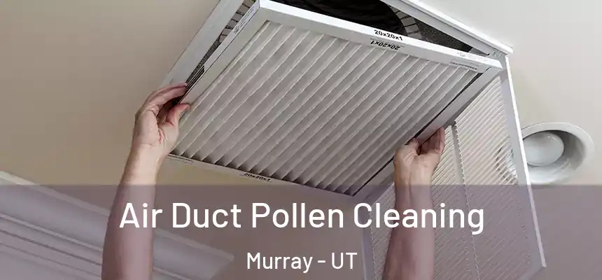  Air Duct Pollen Cleaning Murray - UT
