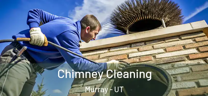  Chimney Cleaning Murray - UT