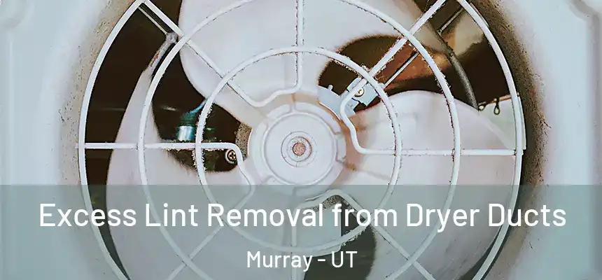  Excess Lint Removal from Dryer Ducts Murray - UT