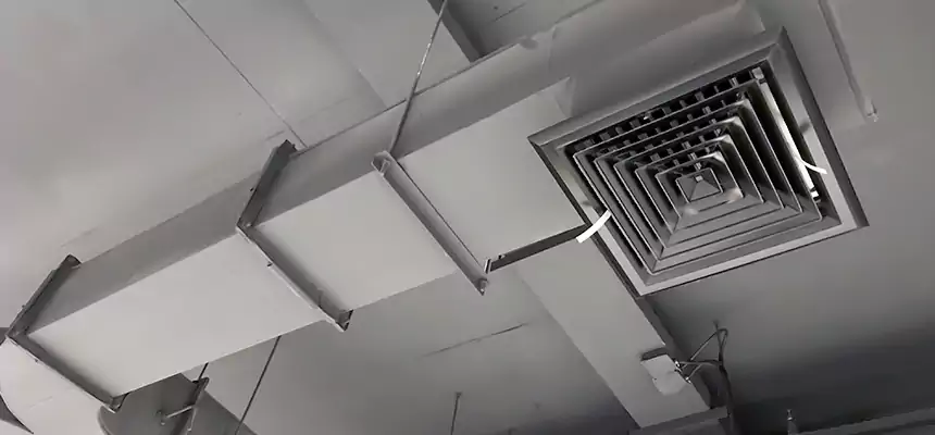 Restorative Allergy Relief Vent Cleaning – Coil, Blower & Housing Detail in Murray