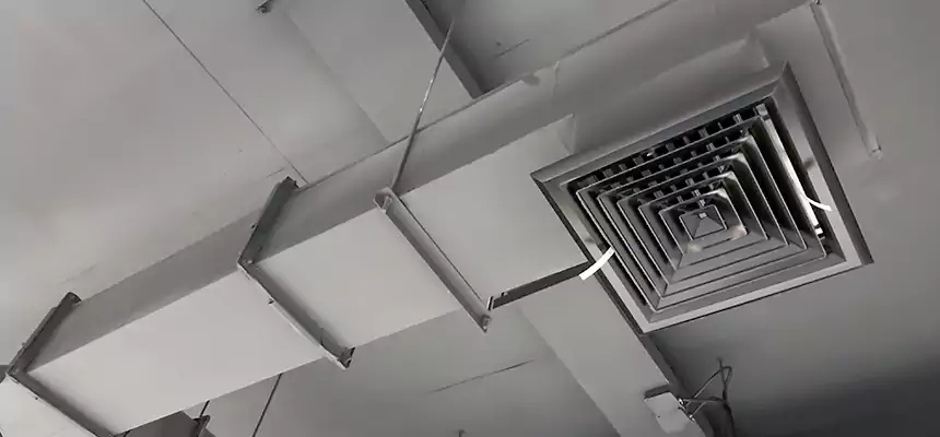 Our Rodent Droppings In Vents Services in Murray, UT