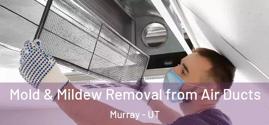  Mold & Mildew Removal from Air Ducts Murray - UT