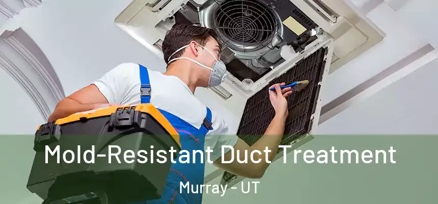  Mold-Resistant Duct Treatment Murray - UT