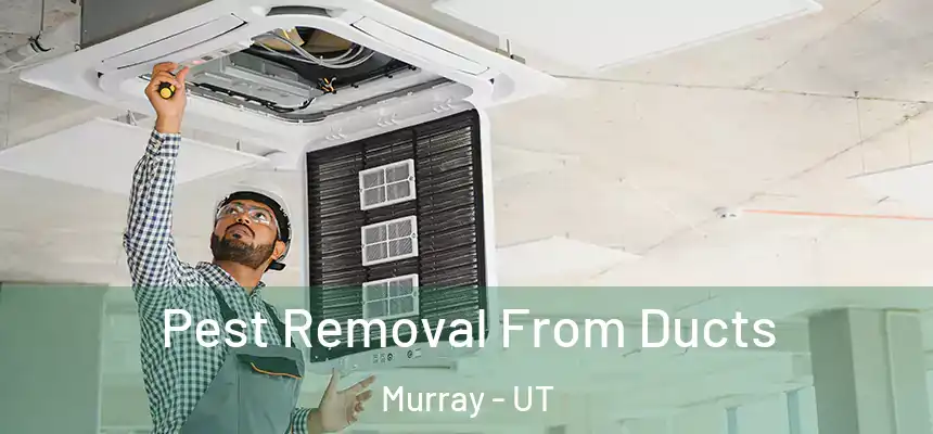  Pest Removal From Ducts Murray - UT
