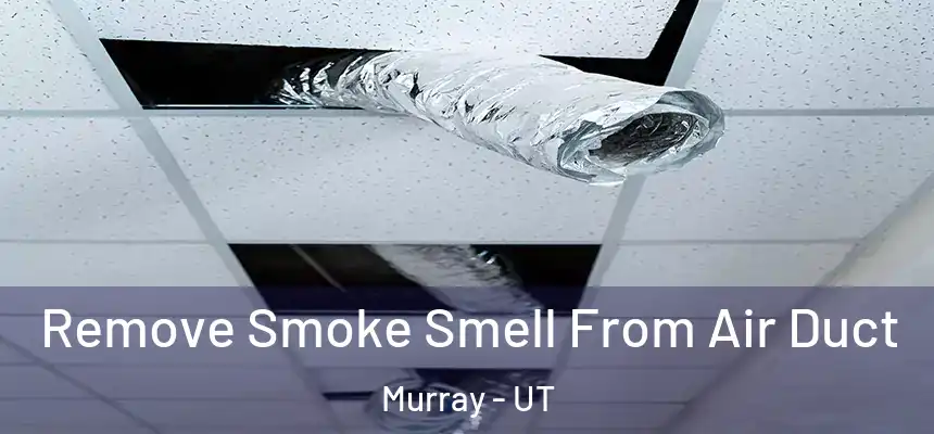  Remove Smoke Smell From Air Duct Murray - UT