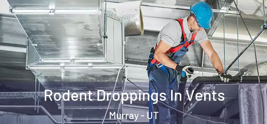  Rodent Droppings In Vents Murray - UT