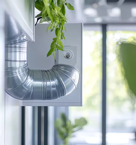 Professional Eco-Safe Dryer Vent Cleaning in Murray, UT