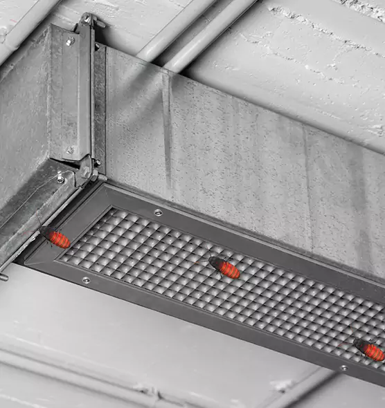 Affordable Insect Removal from Air Ducts in Murray, UT