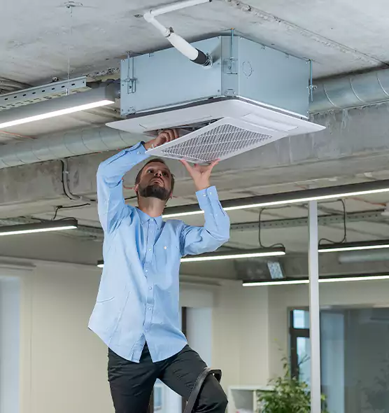 Advanced Rodent Droppings In Vents in Murray, UT