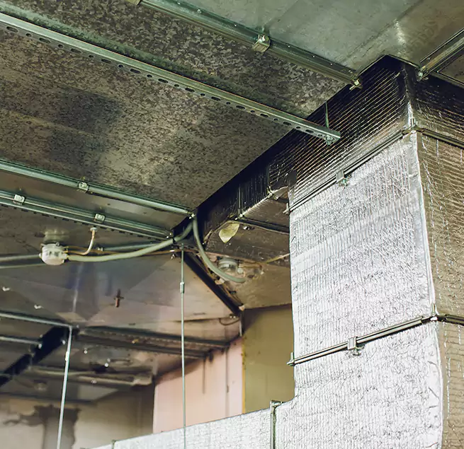 Why Homeowners & Businesses Trust Us in Murray, UT?