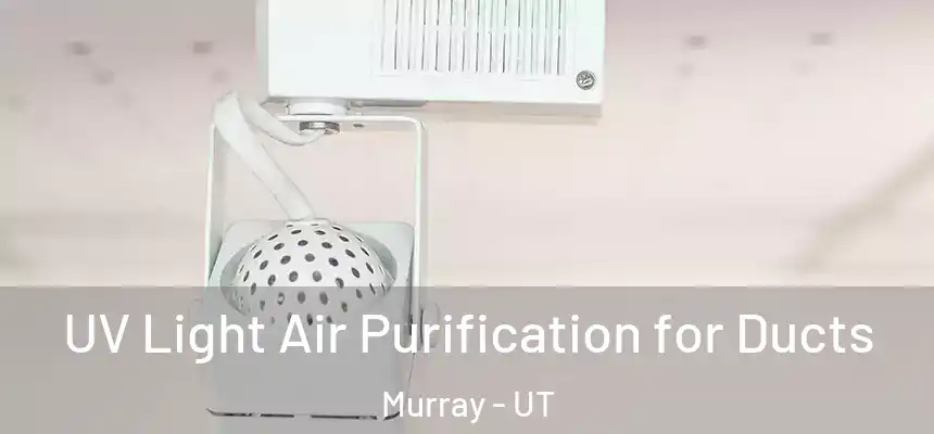  UV Light Air Purification for Ducts Murray - UT